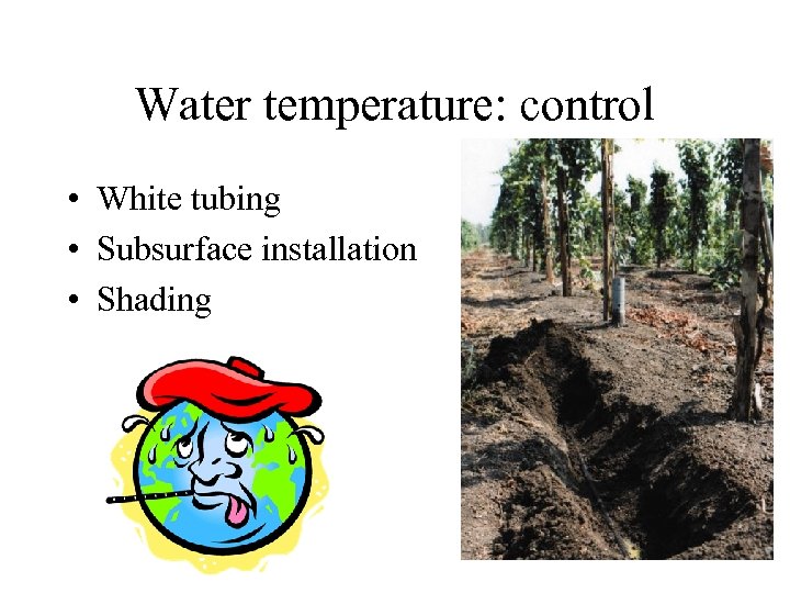 Water temperature: control • White tubing • Subsurface installation • Shading 