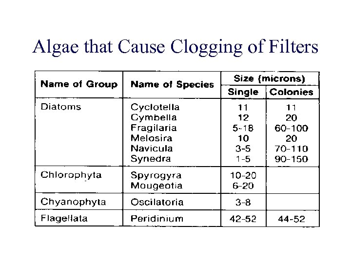Algae that Cause Clogging of Filters 