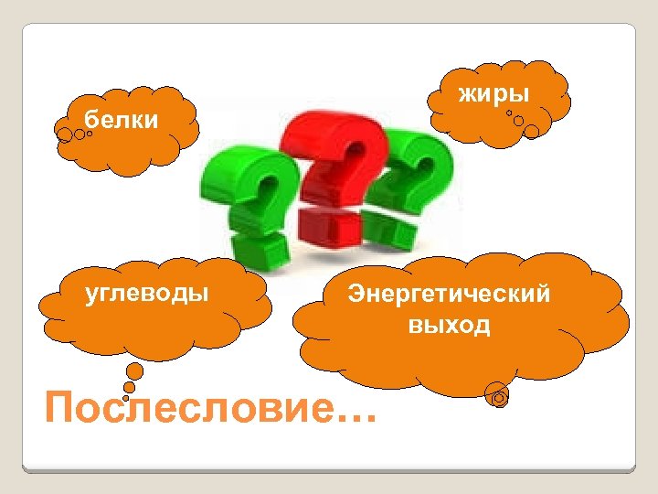 жиры белки углеводы Энергетический выход Послесловие… 