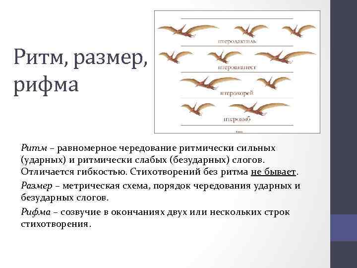 Ритм, размер, рифма Ритм – равномерное чередование ритмически сильных (ударных) и ритмически слабых (безударных)