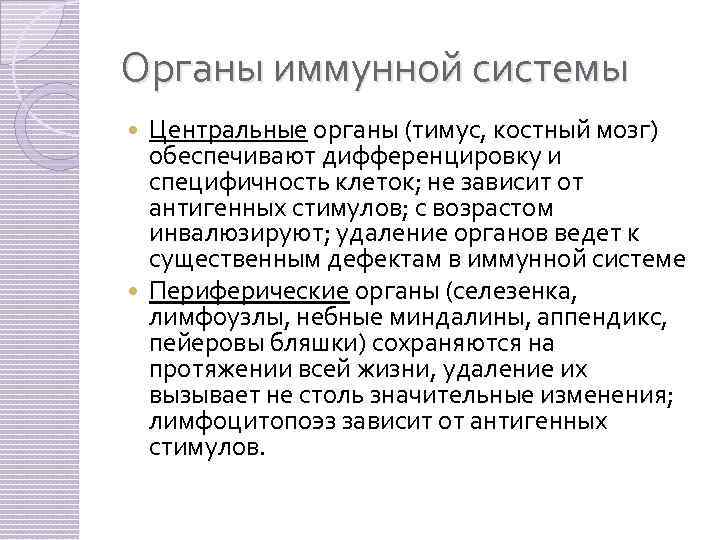 Органы иммунной системы Центральные органы (тимус, костный мозг) обеспечивают дифференцировку и специфичность клеток; не