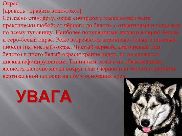 Окрас [править | править вики-текст] Согласно стандарту, окрас сибирского хаски может быть практически любой: