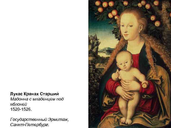 Лукас Кранах Старший Мадонна с младенцем под яблоней 1520 -1526. Государственный Эрмитаж, Санкт-Петербург. 