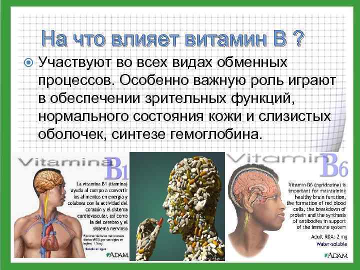 На что влияет витамин B ? Участвуют во всех видах обменных процессов. Особенно важную