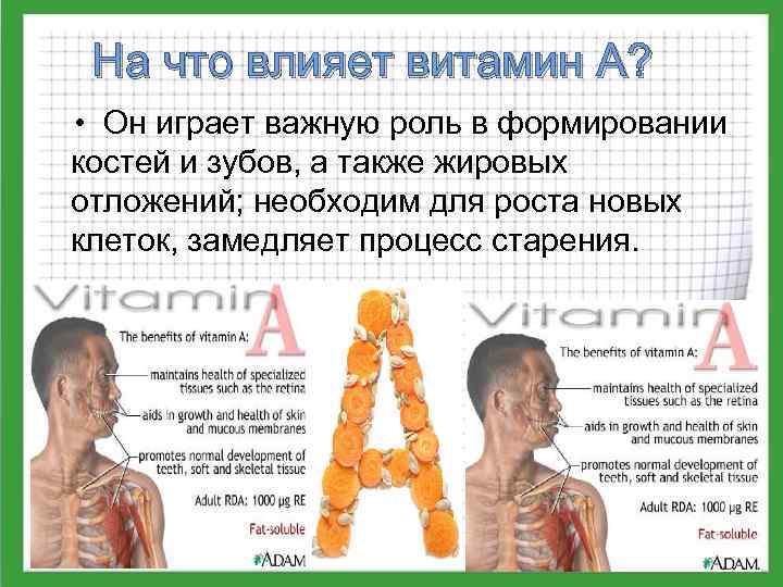 На что влияет витамин А? • Он играет важную роль в формировании костей и
