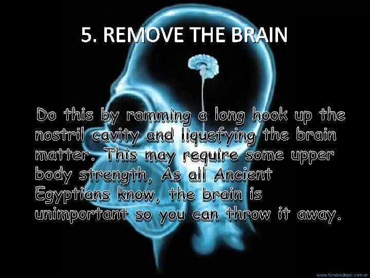 5. REMOVE THE BRAIN Do this by ramming a long hook up the nostril