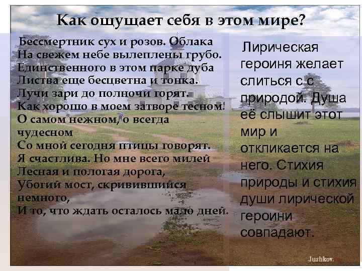 Как ощущает себя в этом мире? Бессмертник сух и розов. Облака Лирическая На свежем