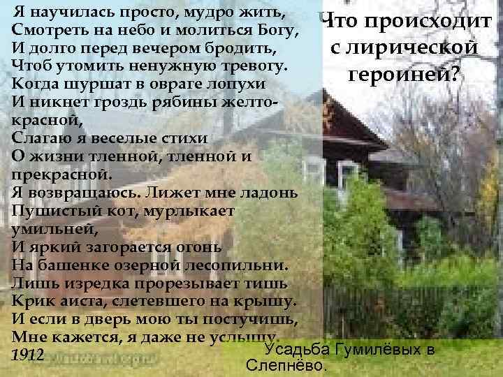 Я научилась просто, мудро жить, Смотреть на небо и молиться Богу, Что происходит И