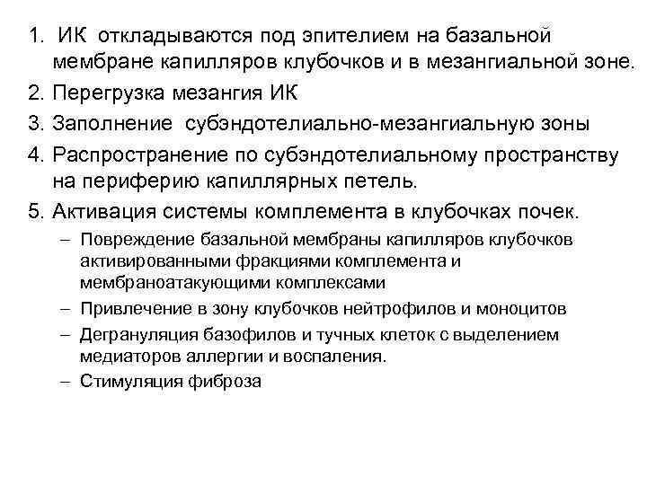 1. ИК откладываются под эпителием на базальной мембране капилляров клубочков и в мезангиальной зоне.