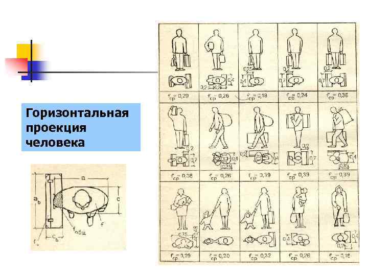 Модуль горизонтальной проекции. Площадь проекции человека. Площадь горизонтальной проекции. Площадь проекции человека в зимней одежде. Проекции человека на горизонтальную.