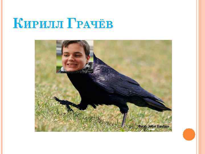 КИРИЛЛ ГРАЧЁВ 