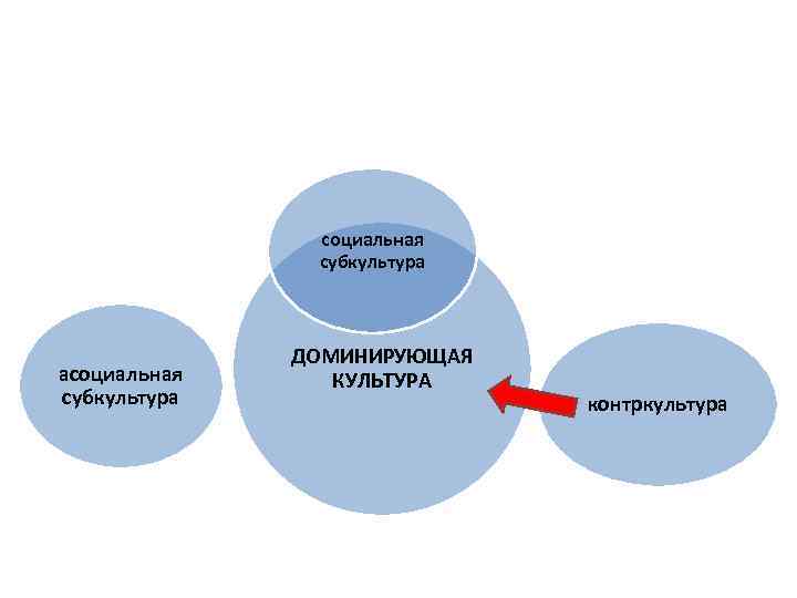 Социальная субкультура. Формы культуры доминирующая субкультура Контркультура. Морфология культуры схема. Доминирующая культура и субкультуры схема. Доминирующая культура примеры.