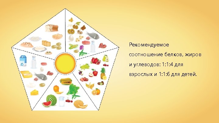 Рекомендуемое соотношение белков, жиров и углеводов: 1: 1: 4 для взрослых и 1: 1: