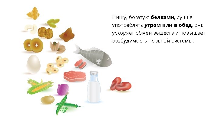 Пищу, богатую белками, лучше употреблять утром или в обед, она ускоряет обмен веществ и