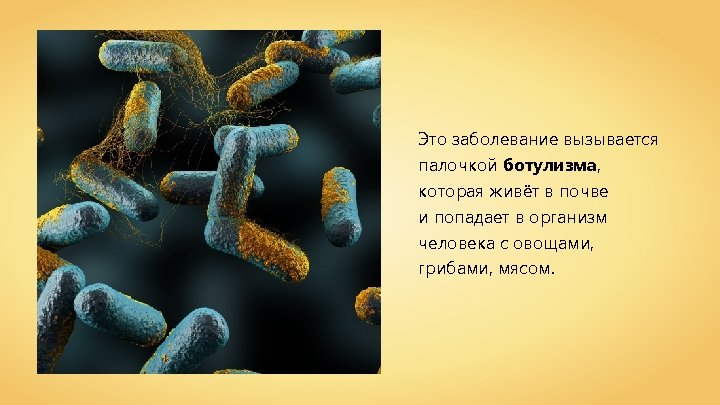 Это заболевание вызывается палочкой ботулизма, которая живёт в почве и попадает в организм человека