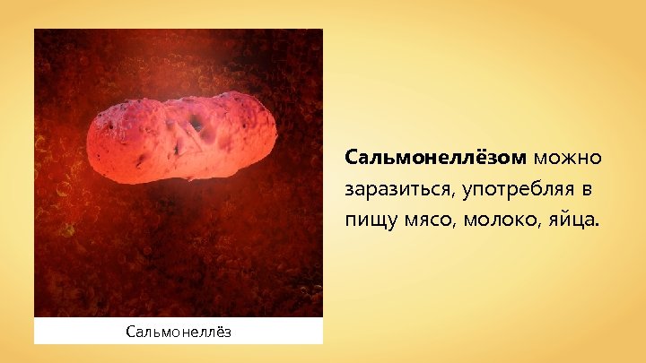 Сальмонеллёзом можно заразиться, употребляя в пищу мясо, молоко, яйца. Сальмонеллёз 
