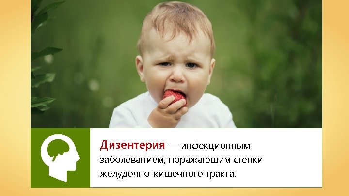 Дизентерия —– инфекционным заболеванием, поражающим стенки желудочно-кишечного тракта. 