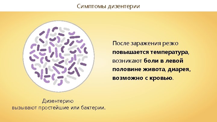 Cимптомы дизентерии После заражения резко повышается температура, возникают боли в левой половине живота, диарея,