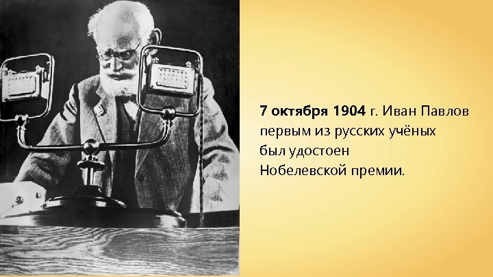 7 октября 1904 г. Иван Павлов первым из русских учёных был удостоен Нобелевской премии.
