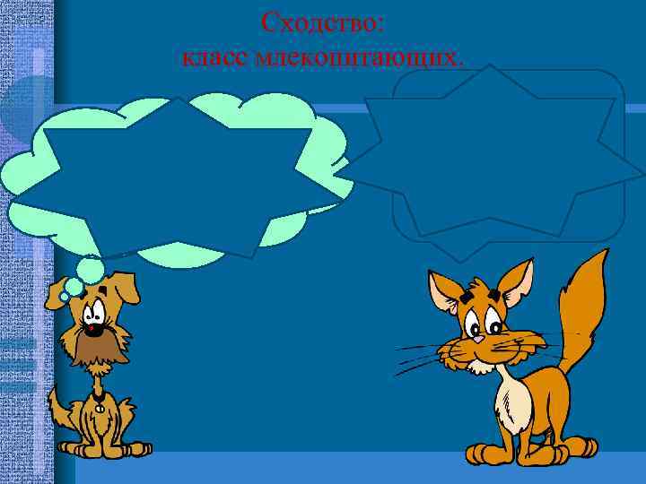 Сходство: класс млекопитающих. ЖИВОТНОЕ ЧЕЛОВЕК Кормит маленьких детей молоком 