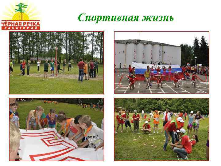 Спортивная жизнь 