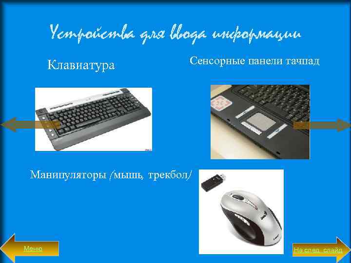Устройства для ввода информации Клавиатура Сенсорные панели тачпад Манипуляторы (мышь, трекбол) Меню На след.