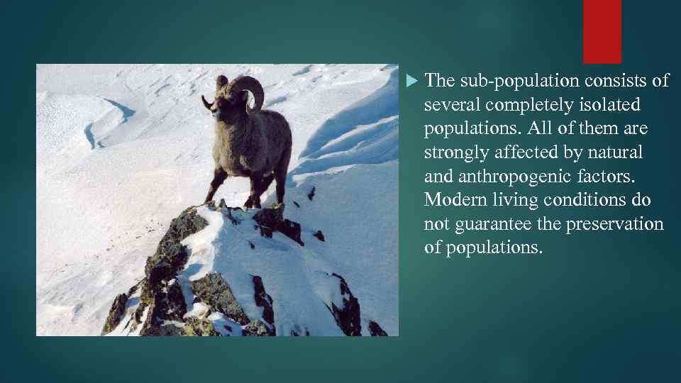  The sub-population consists of several completely isolated populations. All of them are strongly