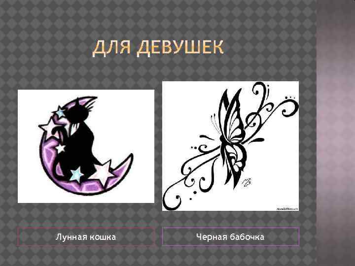 Лунная кошка Черная бабочка 