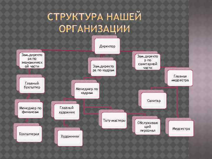 Директор Зам. директо ра по экономическ ой части Зам. директо ра по кадрам Зам.