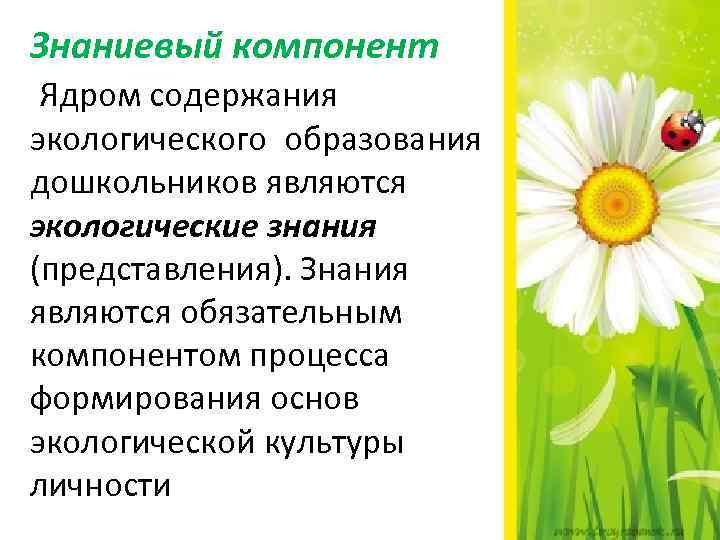 Знаниевый компонент Ядром содержания экологического образования дошкольников являются экологические знания (представления). Знания являются обязательным