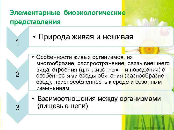 Элементарные биоэкологические представления 1 2 3 • Природа живая и неживая • Особенности живых