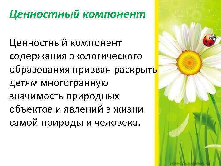 Ценностный компонент содержания экологического образования призван раскрыть детям многогранную значимость природных объектов и явлений
