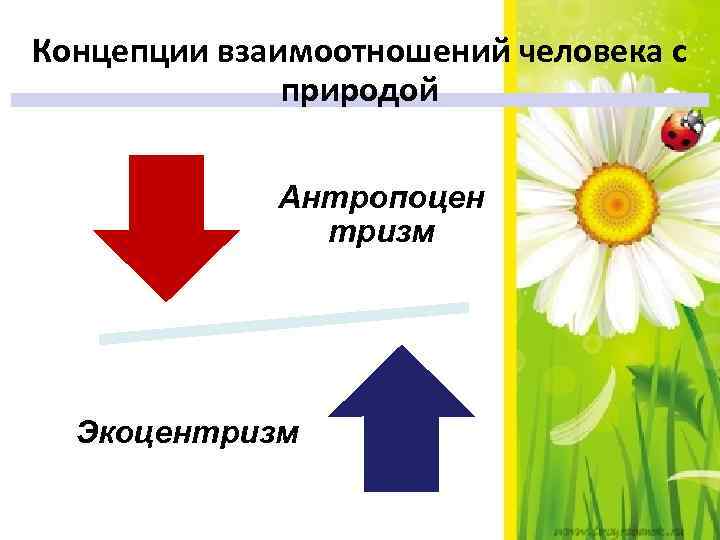 Концепции взаимоотношений человека с природой Антропоцен тризм Экоцентризм 