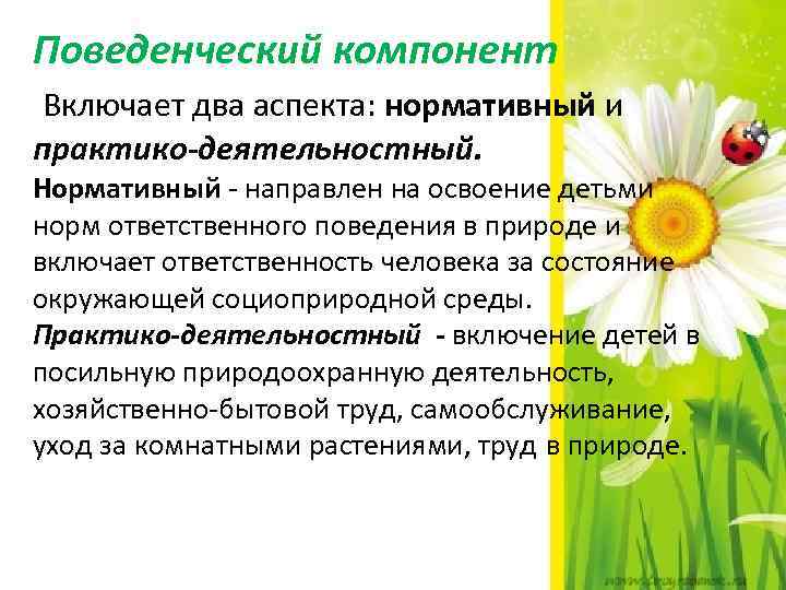 Поведенческий компонент Включает два аспекта: нормативный и практико-деятельностный. Нормативный - направлен на освоение детьми