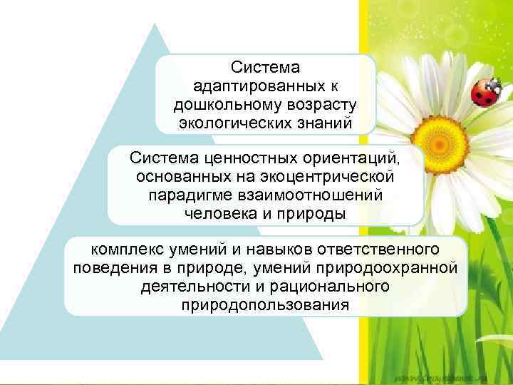 Система адаптированных к дошкольному возрасту экологических знаний Система ценностных ориентаций, основанных на экоцентрической парадигме