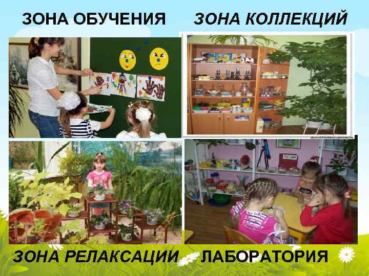 ЗОНА ОБУЧЕНИЯ ЗОНА РЕЛАКСАЦИИ ЗОНА КОЛЛЕКЦИЙ ЛАБОРАТОРИЯ 
