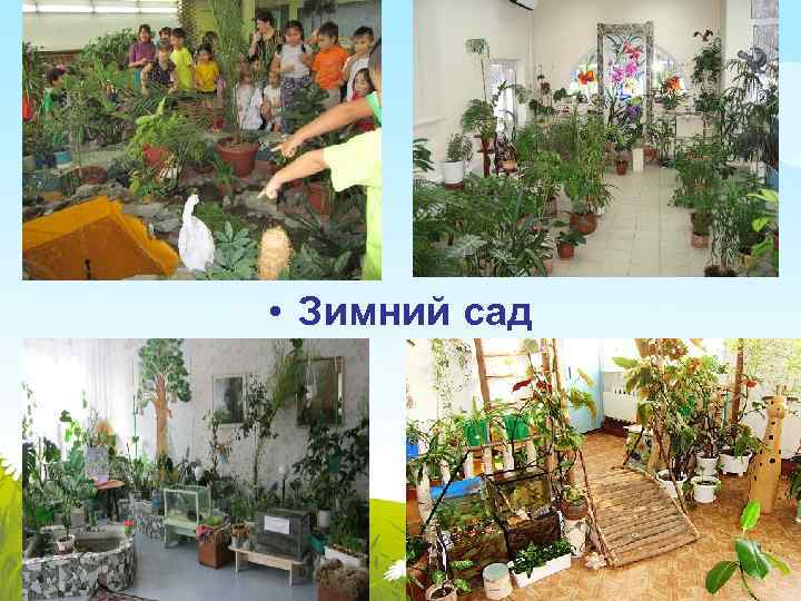  • Зимний сад 