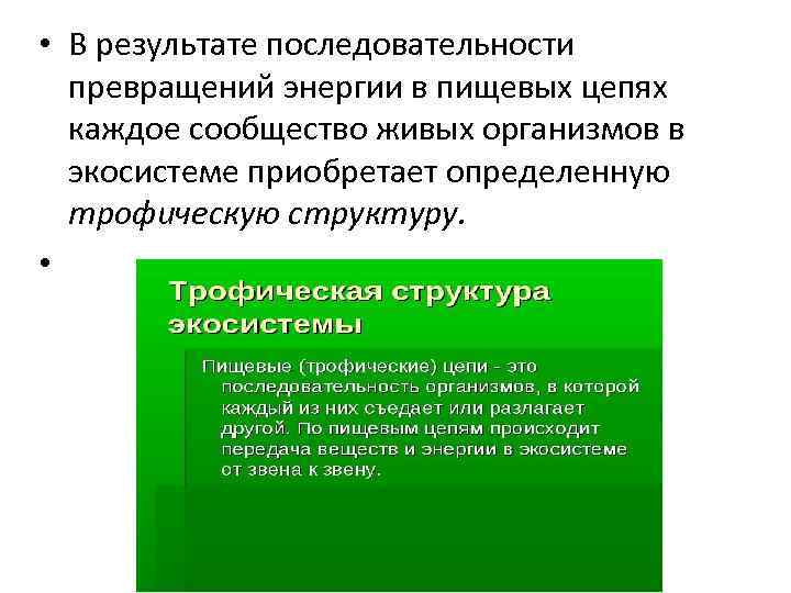 Порядок организмов. Порядок последовательности превращения энергии. Преобразование последовательности. Последовательное превращение объемов. Принцип последовательности превращений а.а. Байкова.