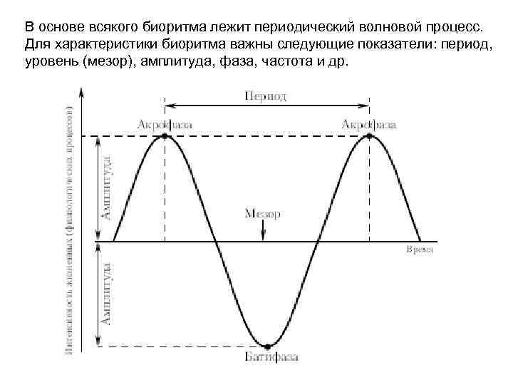 Период частота фаза