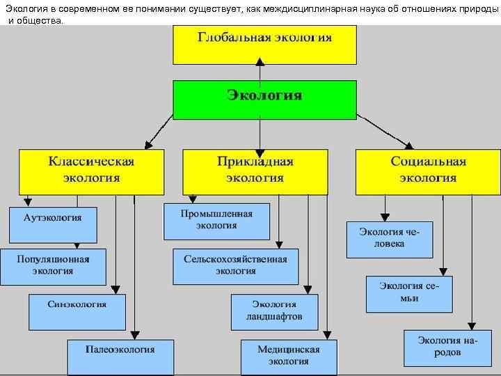 Экология в современном ее понимании существует, как междисциплинарная наука об отношениях природы и общества.