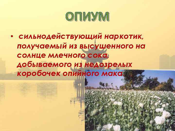 ОПИУМ • сильнодействующий наркотик, получаемый из высушенного на солнце млечного сока, добываемого из недозрелых