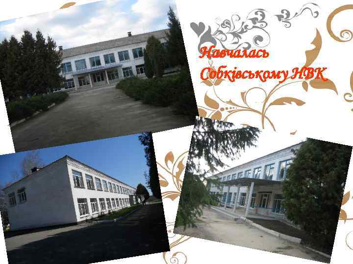 Навчалась Собківському НВК 