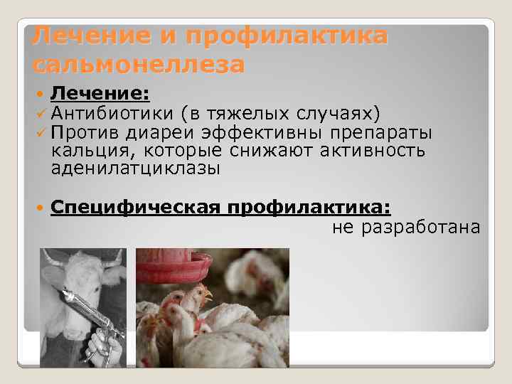 Лечение и профилактика сальмонеллеза Лечение: ü Антибиотики (в тяжелых случаях) ü Против диареи эффективны
