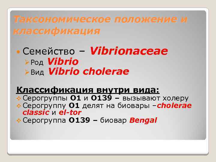 Таксономическое положение и классификация Семейство ØРод ØВид – Vibrionaceae Vibrio cholerae Классификация внутри вида:
