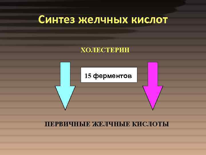 Синтез желчных кислот ХОЛЕСТЕРИН 15 ферментов ПЕРВИЧНЫЕ ЖЕЛЧНЫЕ КИСЛОТЫ 