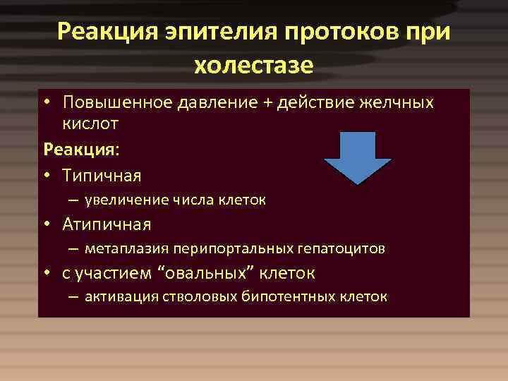Реакция эпителия протоков при холестазе • Повышенное давление + действие желчных кислот Реакция: •