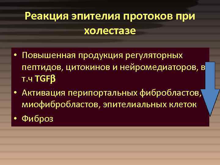 Реакция эпителия протоков при холестазе • Повышенная продукция регуляторных пептидов, цитокинов и нейромедиаторов, в