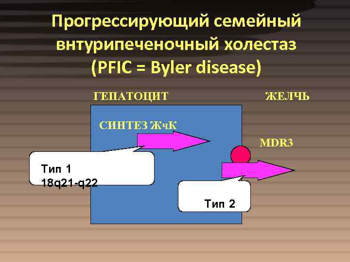 Прогрессирующий семейный внтурипеченочный холестаз (PFIC = Byler disease) ГЕПАТОЦИТ ЖЕЛЧЬ СИНТЕЗ Жч. К MDR