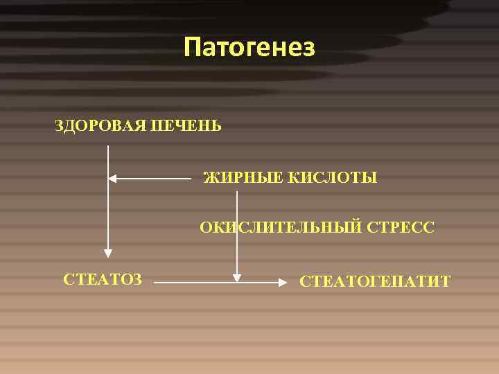 Патогенез ЗДОРОВАЯ ПЕЧЕНЬ ЖИРНЫЕ КИСЛОТЫ ОКИСЛИТЕЛЬНЫЙ СТРЕСС СТЕАТОЗ СТЕАТОГЕПАТИТ 
