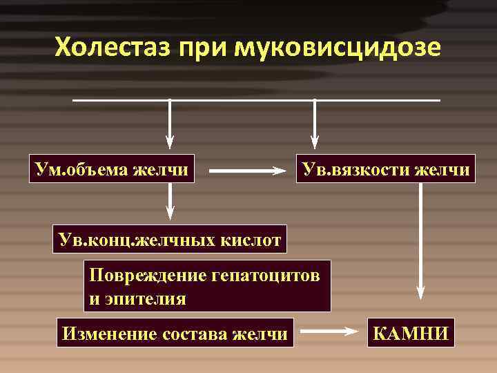 Холестаз при муковисцидозе Ум. объема желчи Ув. вязкости желчи Ув. конц. желчных кислот Повреждение